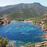 De Mammo Osani