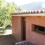 De Mammo Osani
