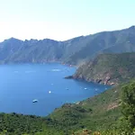 De Mammo