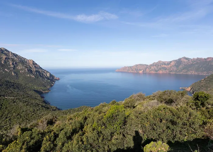 Appartement De Mammo *